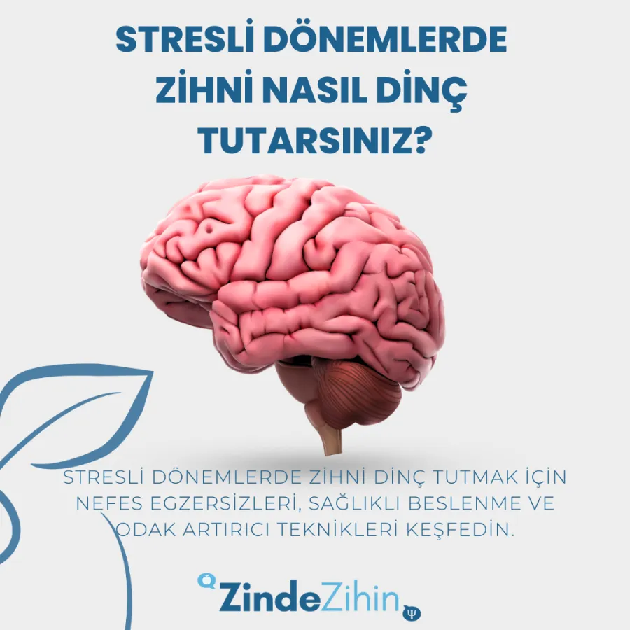 Stresli Dönemlerde Zihni Nasıl Dinç Tutarsınız?